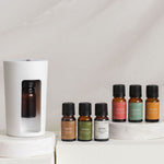 Load image into Gallery viewer, Sia Waterless Diffuser & Oil Bundle (6 Oils)