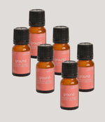 Load image into Gallery viewer, Oil Bundle (6 Oils) Single Scent