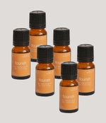 Load image into Gallery viewer, Oil Bundle (6 Oils) Single Scent