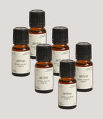 Load image into Gallery viewer, Oil Bundle (6 Oils) Single Scent