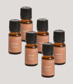 Load image into Gallery viewer, Oil Bundle (6 Oils) Single Scent