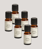 Load image into Gallery viewer, Oil Bundle (6 Oils) Single Scent
